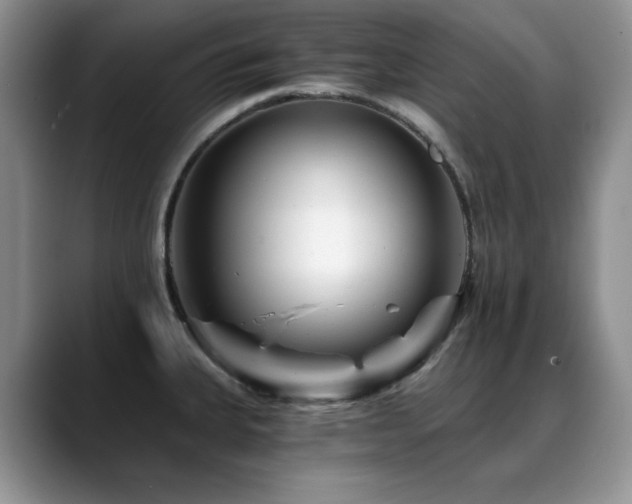 X0000088891335200706081241