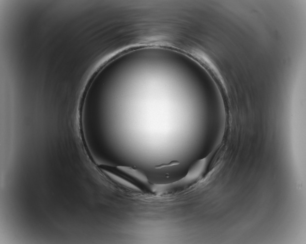 X0000088891336200706081241