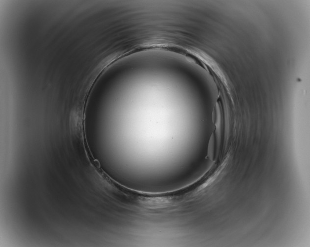 X0000088891337200706081241