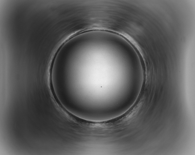 X0000088891341200706081241