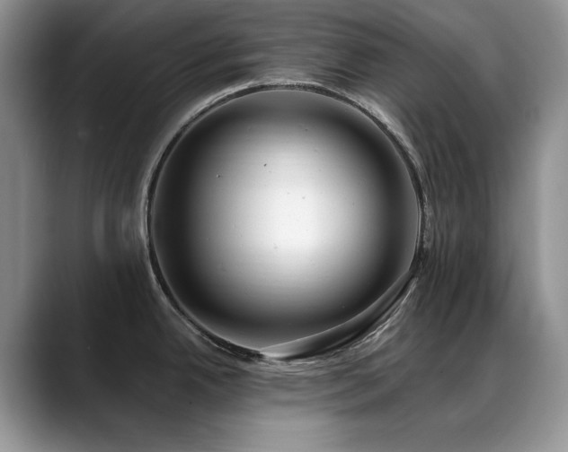 X0000088891342200706081241