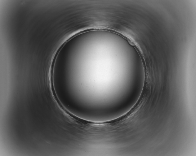 X0000088891343200706081241