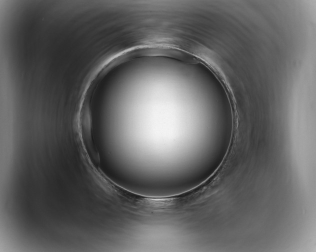 X0000088891344200706081241