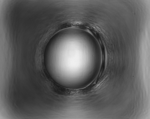 X0000088891345200706081240