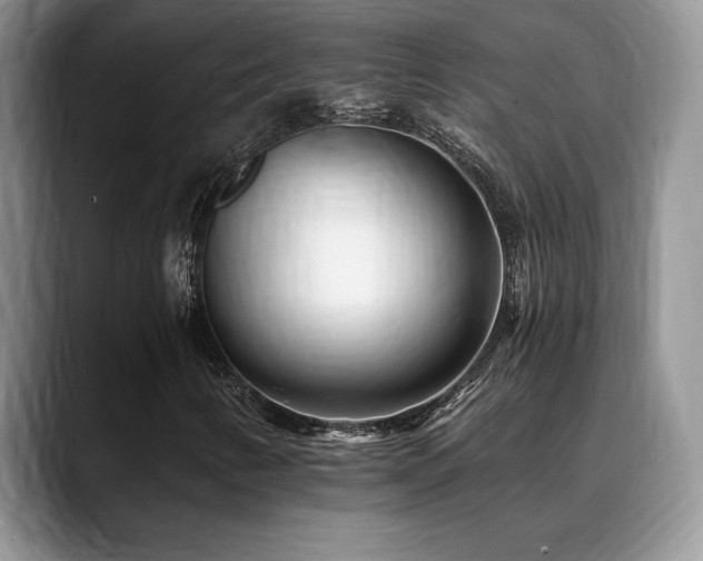 X0000088891346200706081240