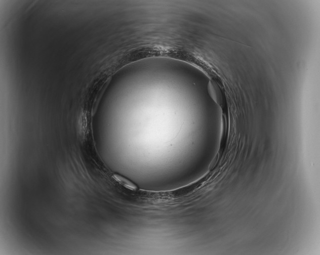 X0000088891347200706081240