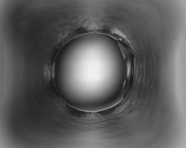 X0000088891348200706081240