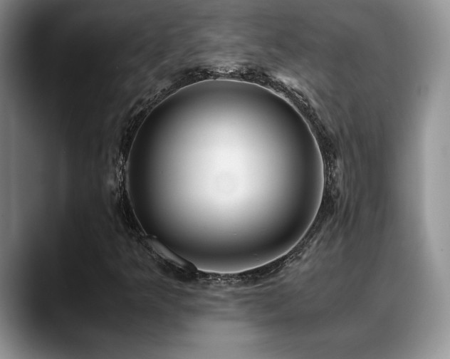 X0000088891349200706081240
