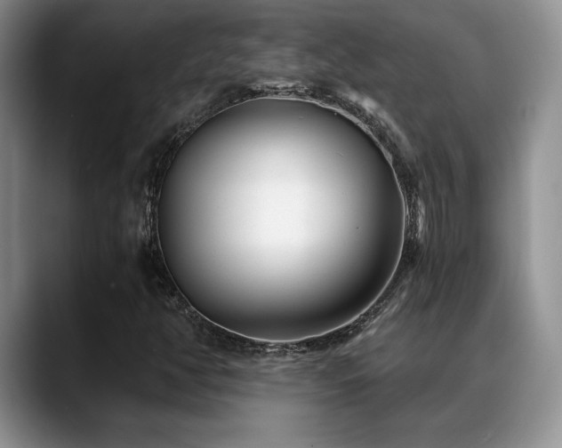 X0000088891350200706081240