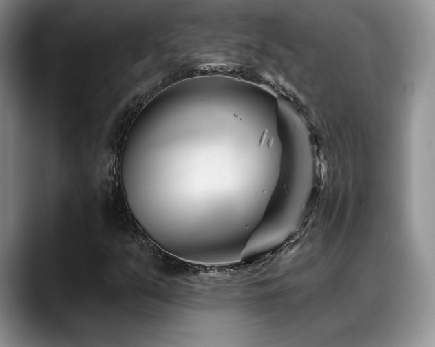 X0000088891351200706081240