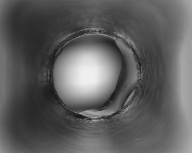 X0000088891352200706081240