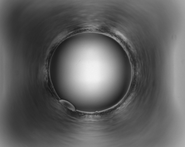 X0000088891354200706081240