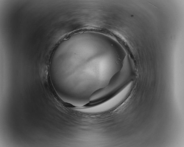 X0000088891355200706081240