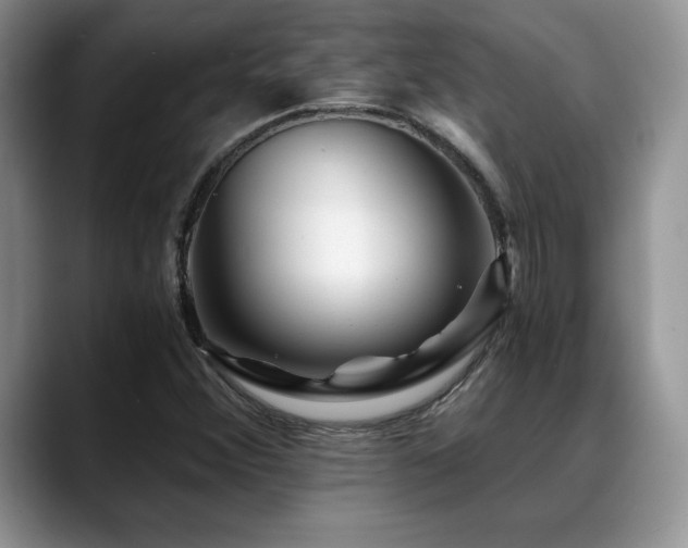 X0000088891356200706081240
