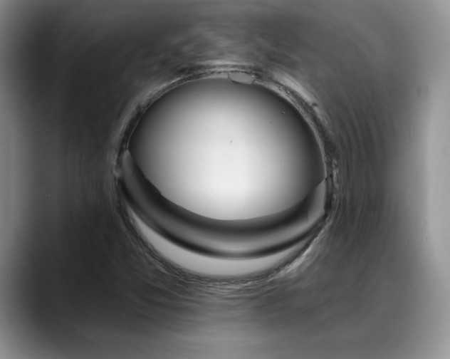 X0000088891357200706081240