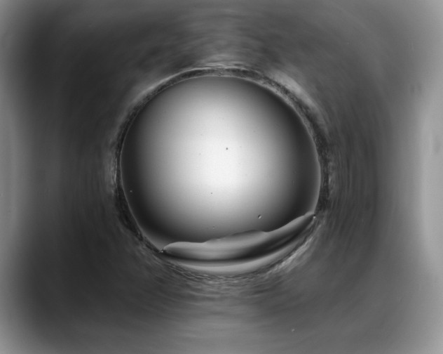 X0000088891358200706081240