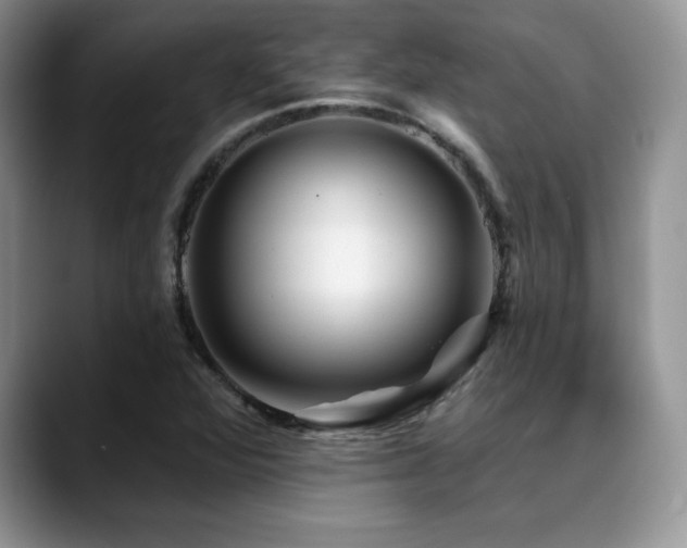 X0000088891360200706081240