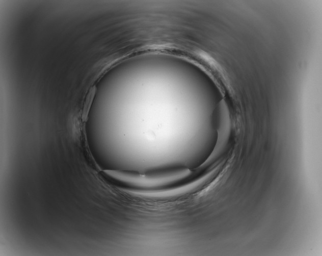 X0000088891361200706081240
