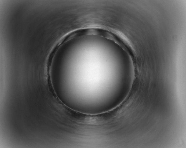X0000088891364200706081240