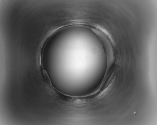 X0000088891365200706081240