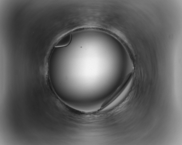 X0000088891366200706081240