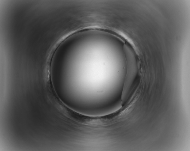 X0000088891367200706081240