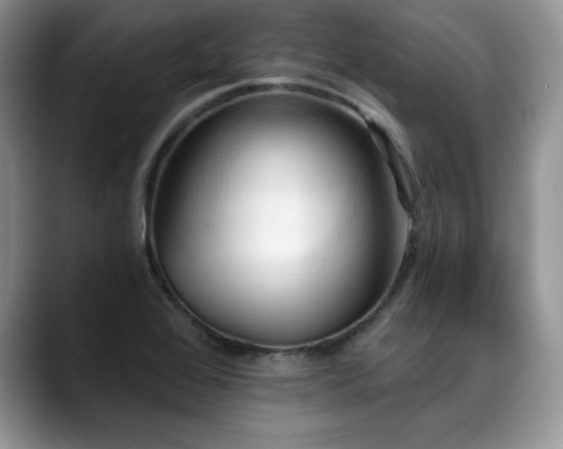 X0000088891368200706081240