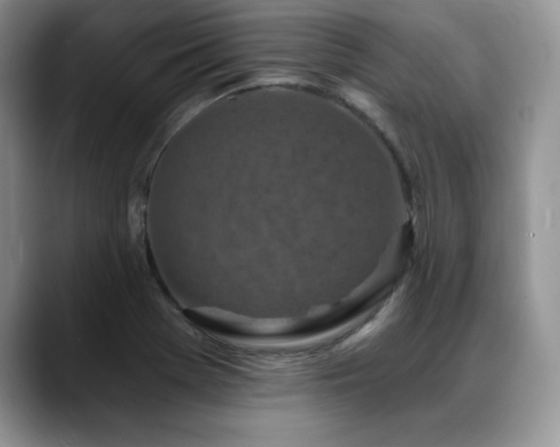 X0000088891369200706081240