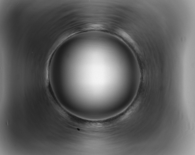 X0000088891370200706081240