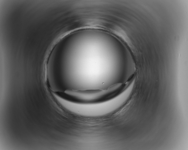 X0000088891371200706081240