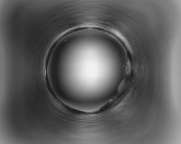 X0000088891372200706081240