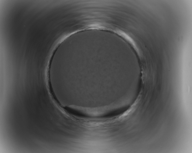 X0000088891373200706081240