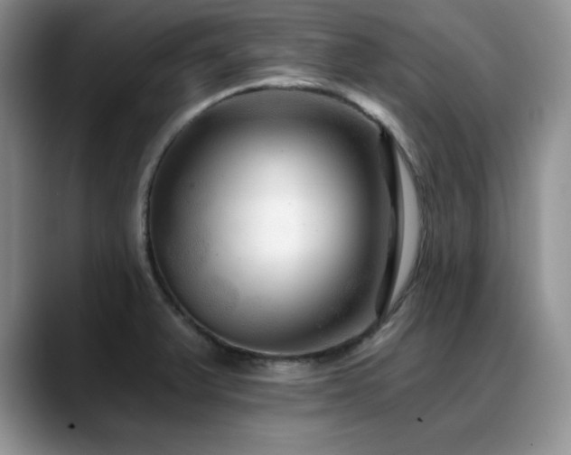 X0000088891375200706081240