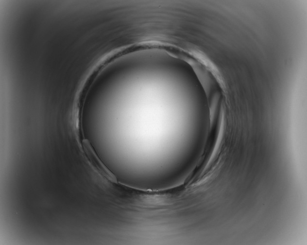 X0000088891376200706081240