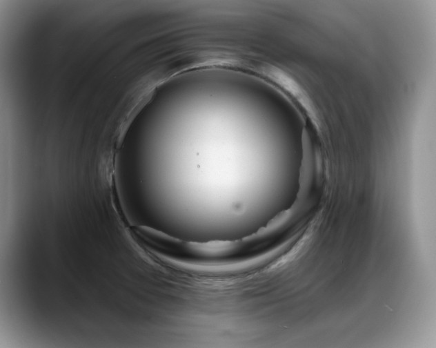 X0000088891377200706081240