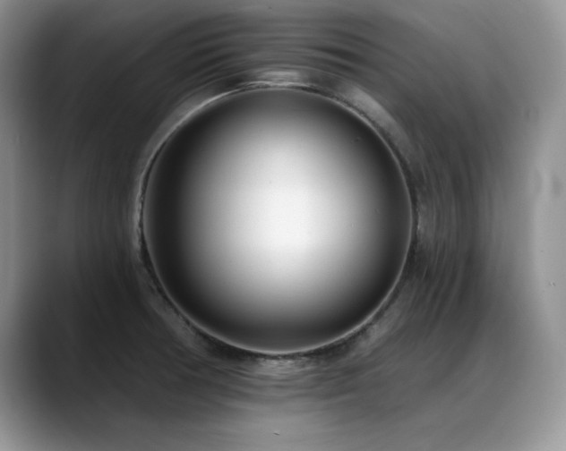 X0000088891378200706081240