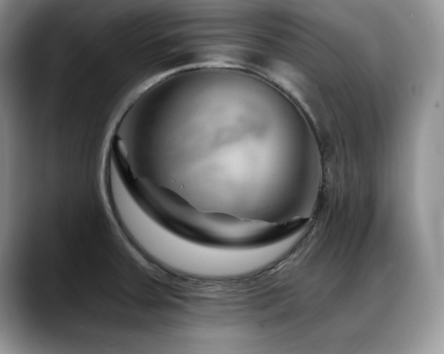 X0000088891379200706081240