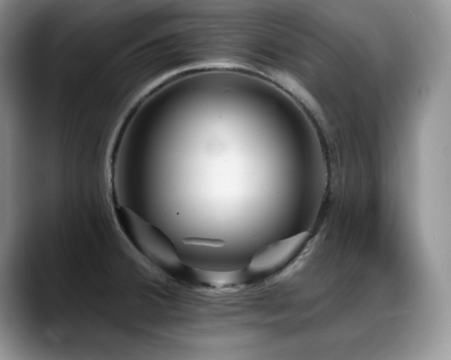 X0000088891380200706081240