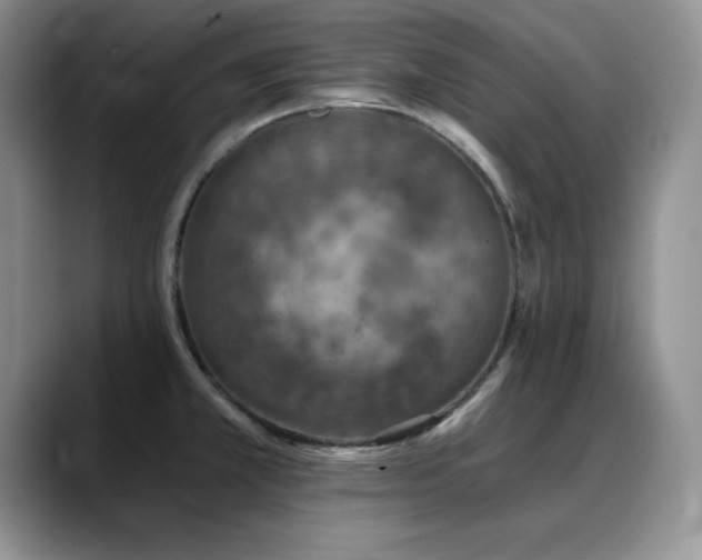 X0000088891381200706081240