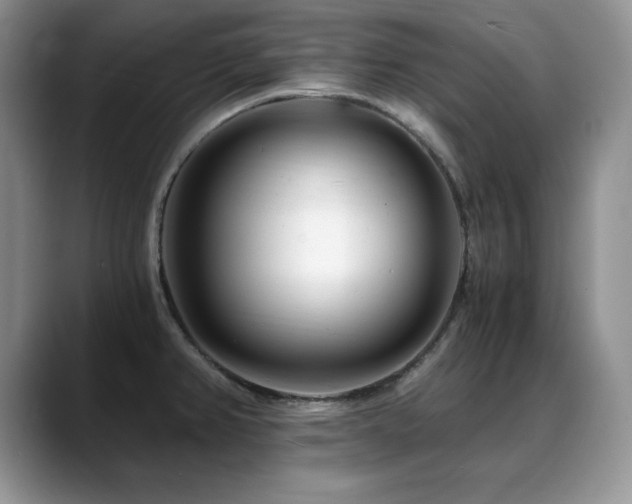 X0000088891382200706081240