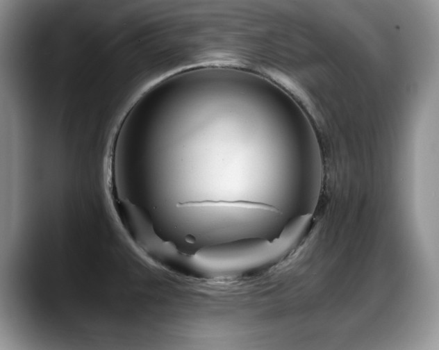 X0000088891383200706081240