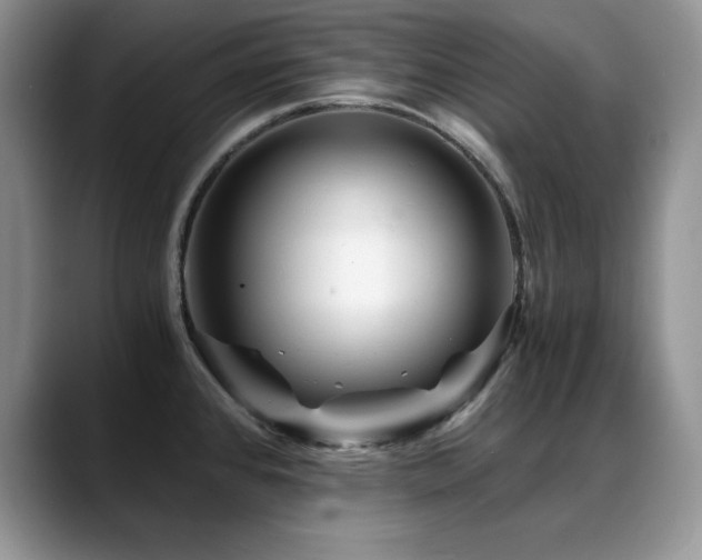 X0000088891384200706081240