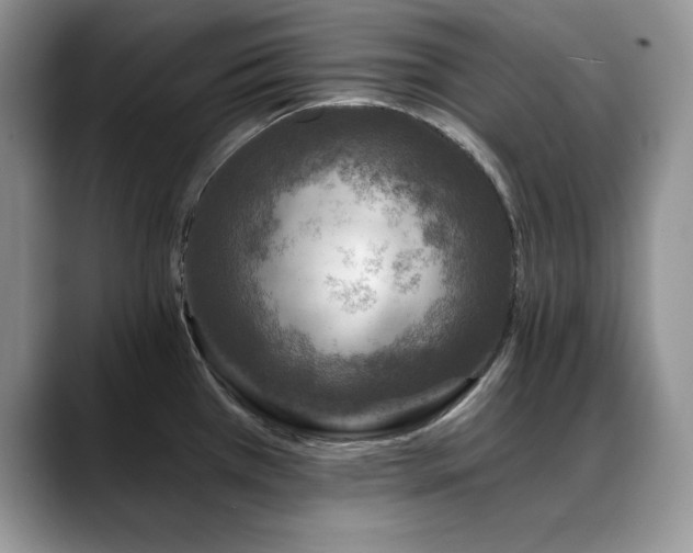 X0000088891385200706081240