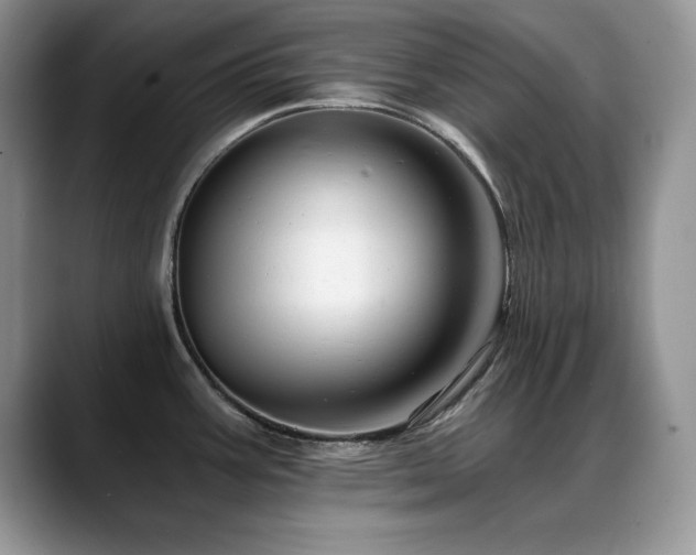 X0000088891387200706081240
