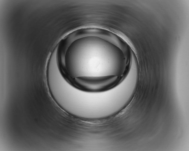 X0000088891388200706081240