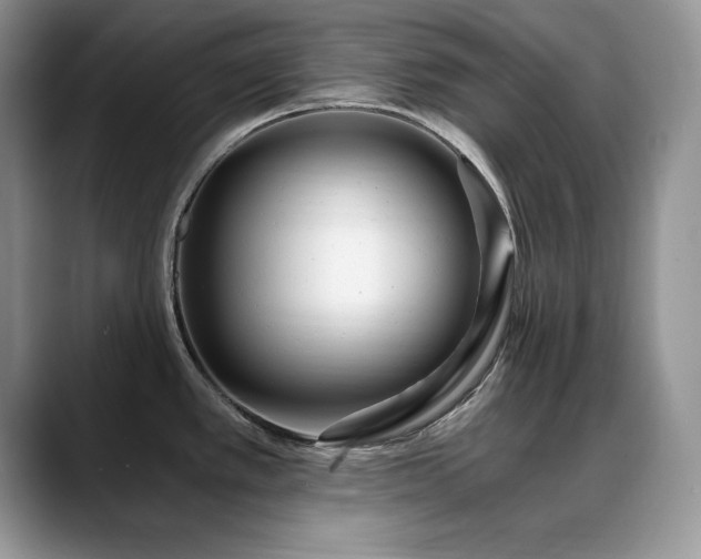 X0000088891389200706081240