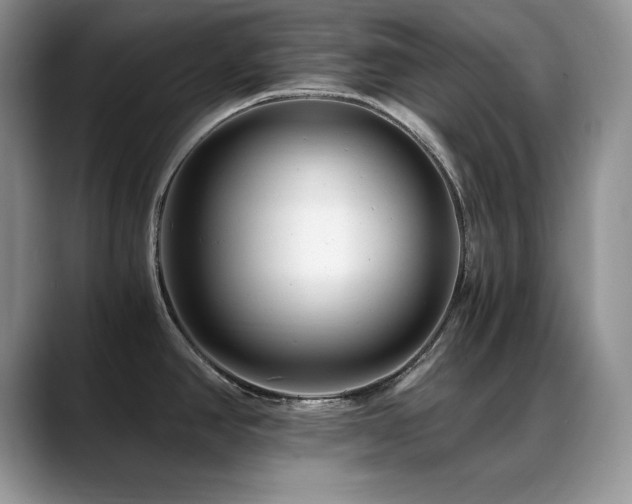 X0000088891390200706081240