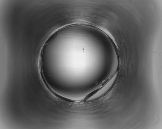 X0000088891391200706081240