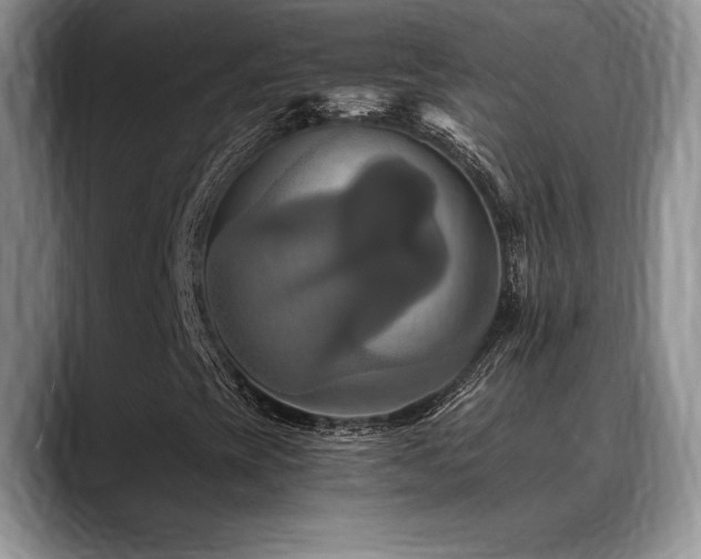 X0000088891393200706081239