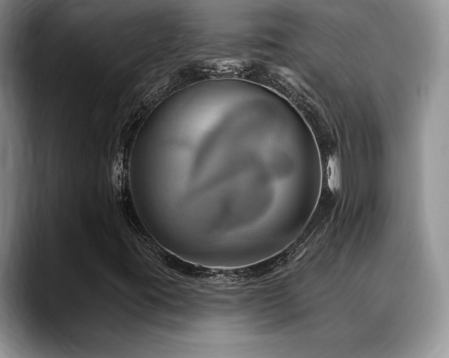 X0000088891395200706081239